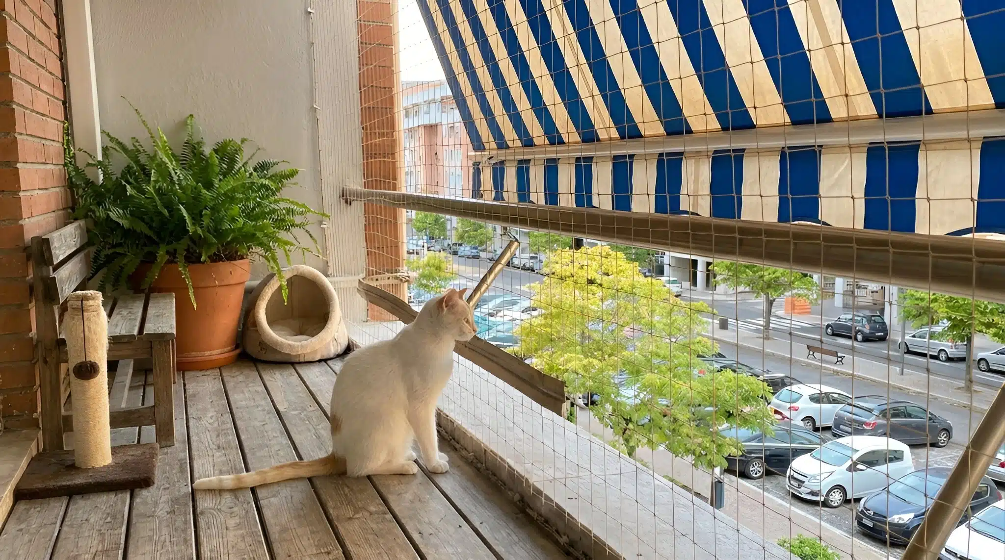 Reti anticaduta per gatti: come proteggere balconi, finestre e giardini in modo sicuro
