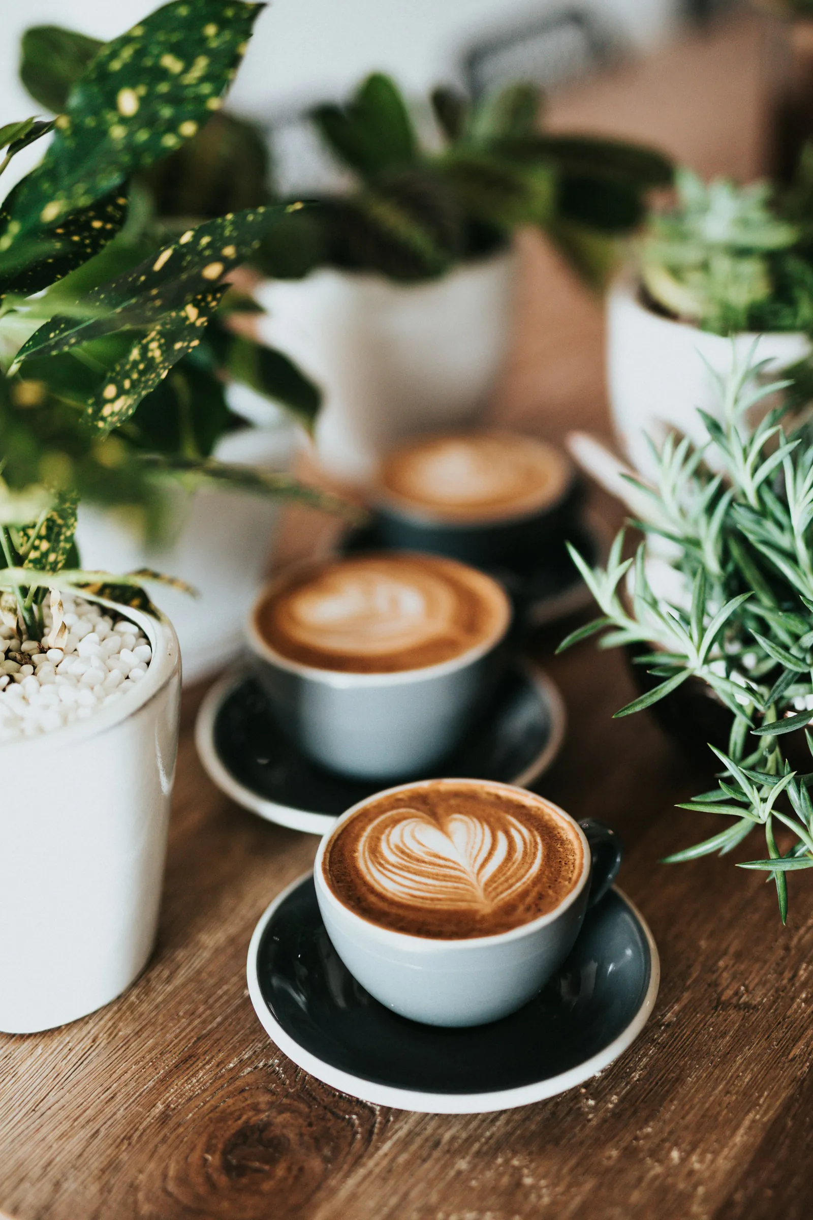 Bar & Caffetterie